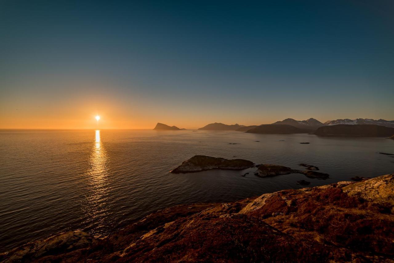Laukvik Senja Otel Botnhamn Dış mekan fotoğraf