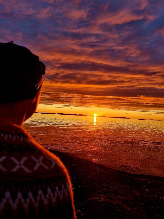 Laukvik Senja Otel Botnhamn Dış mekan fotoğraf