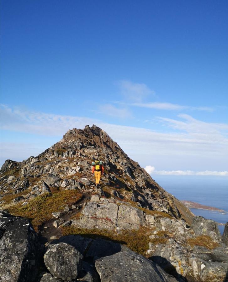 Laukvik Senja Otel Botnhamn Dış mekan fotoğraf